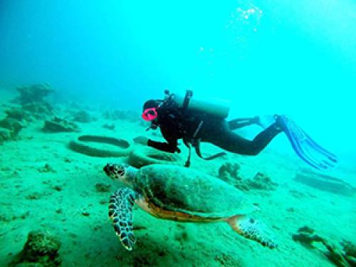 PALMA DIVING מועדון צלילה