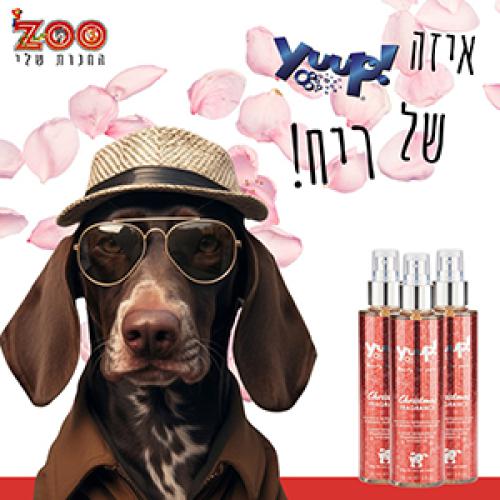 Zoo החנות שלי