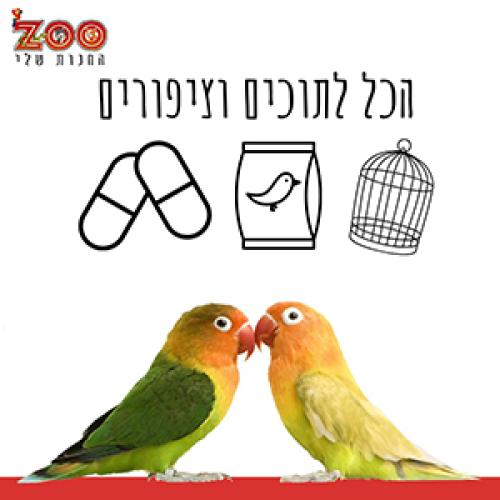 Zoo החנות שלי