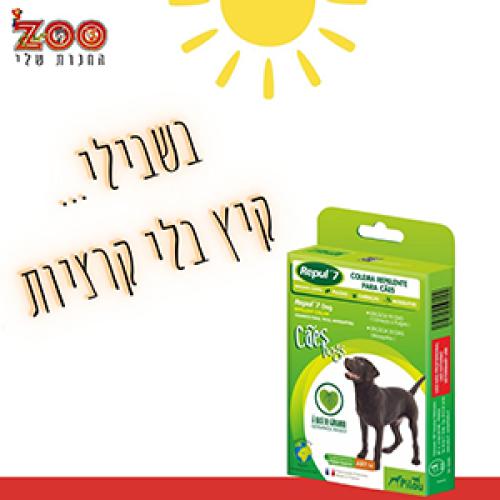 Zoo החנות שלי