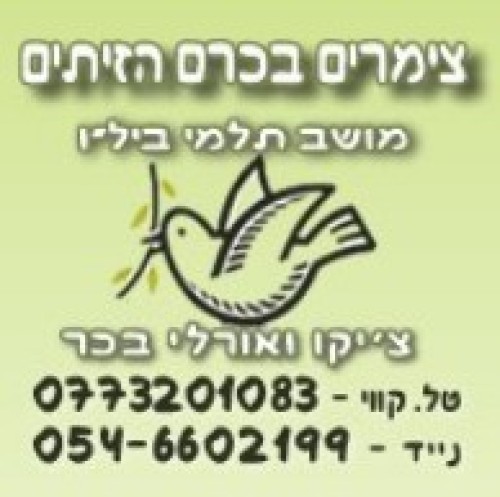 %D7%A6%D7%99%D7%9E%D7%A8%D7%99%D7%9D%20%D7%91%D7%9B%D7%A8%D7%9D%20%D7%94%D7%96%D7%99%D7%AA%D7%99%D7%9D