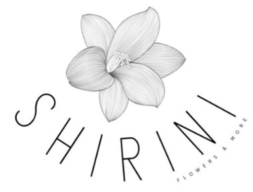 %D7%A9%D7%99%D7%A8%D7%99%D7%A0%D7%99