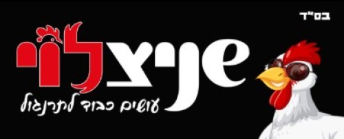 %D7%A9%D7%A0%D7%99%D7%A6%D7%9C%D7%95%D7%99