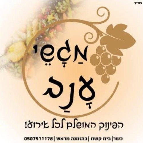 %D7%9E%D7%92%D7%A9%D7%99%20%D7%A2%D7%A0%D7%91