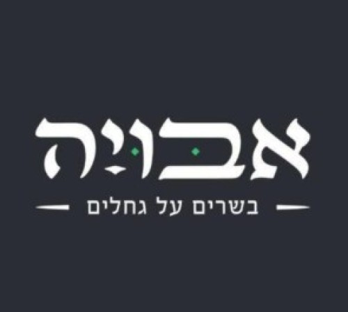%D7%90%D7%91%D7%95%D7%99%D7%94%20%D7%91%D7%A9%D7%A8%D7%99%D7%9D%20%D7%A2%D7%9C%20%D7%92%D7%97%D7%9C%D7%99%D7%9D