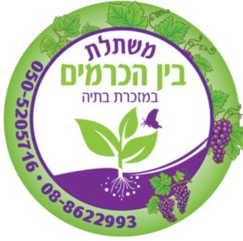 %D7%9E%D7%A9%D7%AA%D7%9C%D7%AA%20%D7%91%D7%99%D7%95%20%D7%94%D7%9B%D7%A8%D7%9E%D7%99%D7%9D