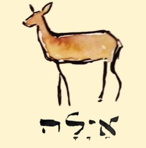 %D7%90%D7%99%D7%9C%D7%94%20%D7%90%D7%91%D7%99%D7%A9%D7%A8