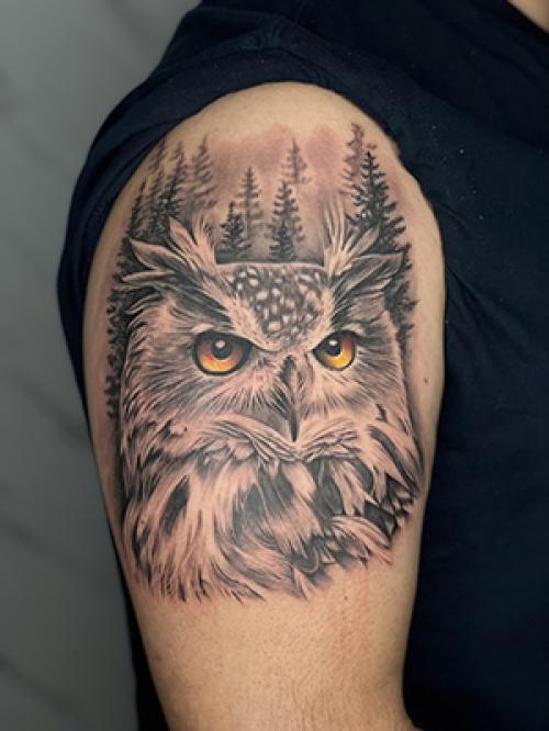 וואמוס קעקועים