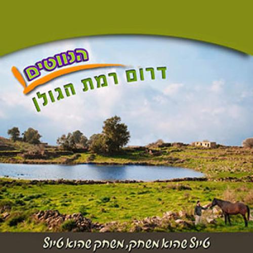 משחק הנווטים