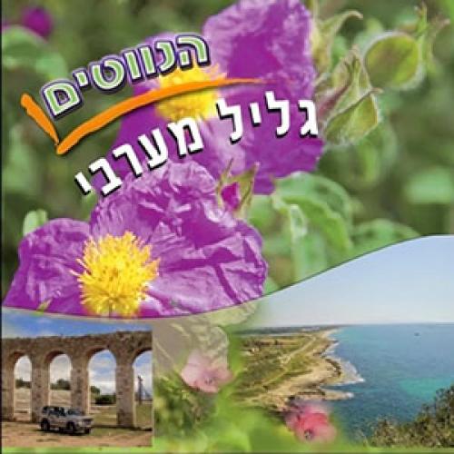 משחק הנווטים