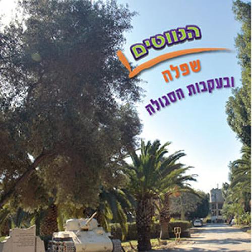 משחק הנווטים