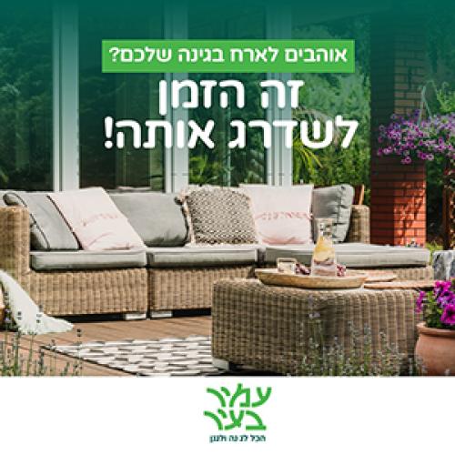 רשת עמיר בעיר