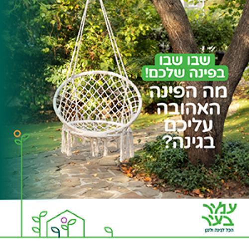 רשת עמיר בעיר