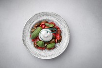 Nolla מור מילר סדנאות בישול