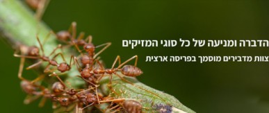 אמנון חברה להדברה