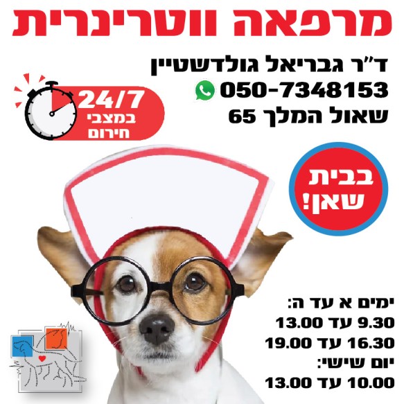 מרפאת וטרינרית בית שאן