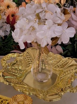 הבית לאפיה ובישול סטוק 55