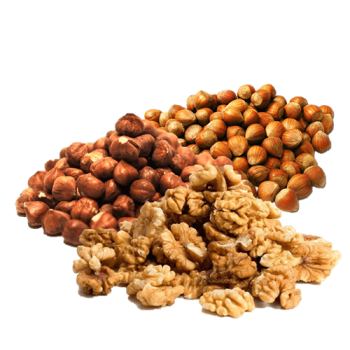 האגוז העצבני