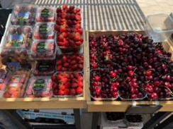 חיימוביץ פירות וירקות