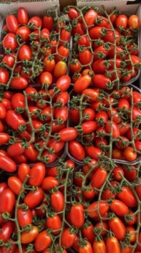 חיימוביץ פירות וירקות