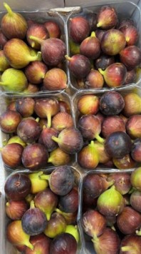 חיימוביץ פירות וירקות