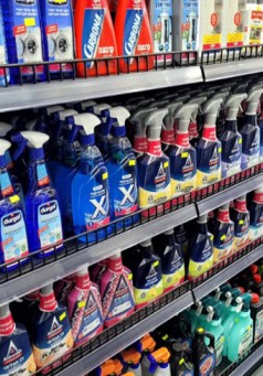 בית וגן בשדרה