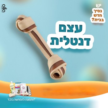 בעצם