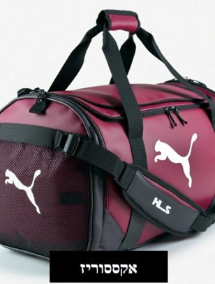 היכל הספורט