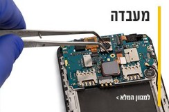 ווקי טוקי