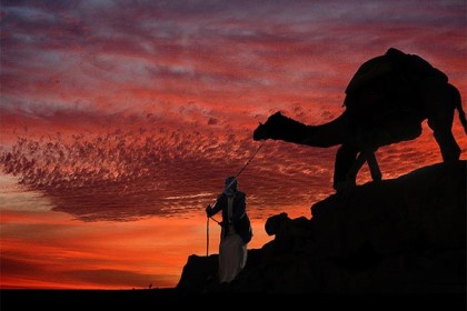 אקו טיולי מדבר