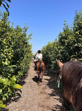 חוות לב הטבע