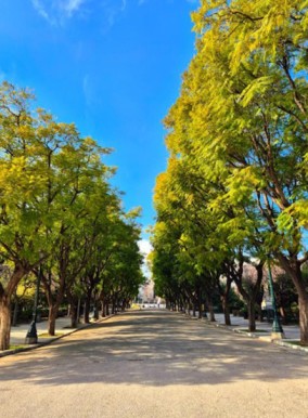 לצלם עם יאיר פוטולסקי