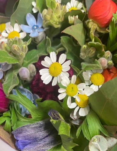 הפרחניה פרחים פירות וירקות ופינוקים