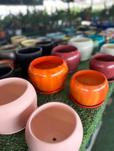 משתלת ביו הכרמים