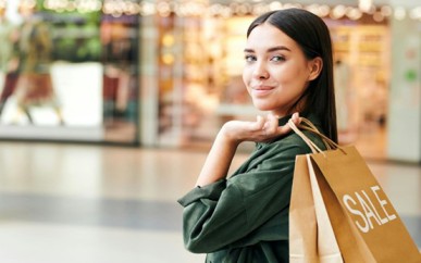 פליי מאני טכנולוגיות FLY MONEY TECHNOLOGIES