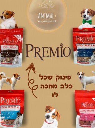 חנות חיות Animal +