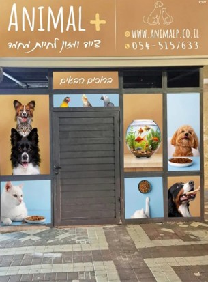 חנות חיות Animal +