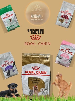 חנות חיות Animal +