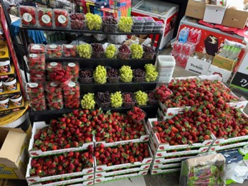 חיימוביץ פירות וירקות