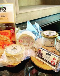 Cheese factory