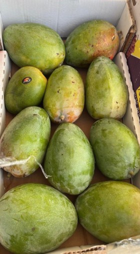 חיימוביץ פירות וירקות