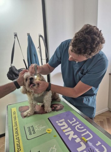 יוסי מנדל מרפאה וטרינרית